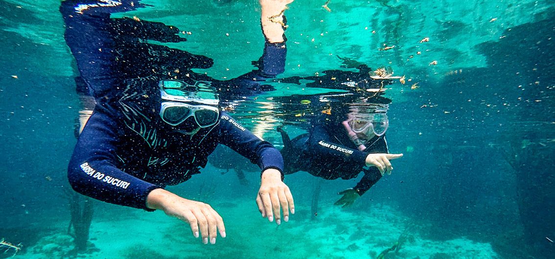 134_3_Schnorcheln-im-glasklaren-Sucuri-Fluss---Credit-FUNDTUR