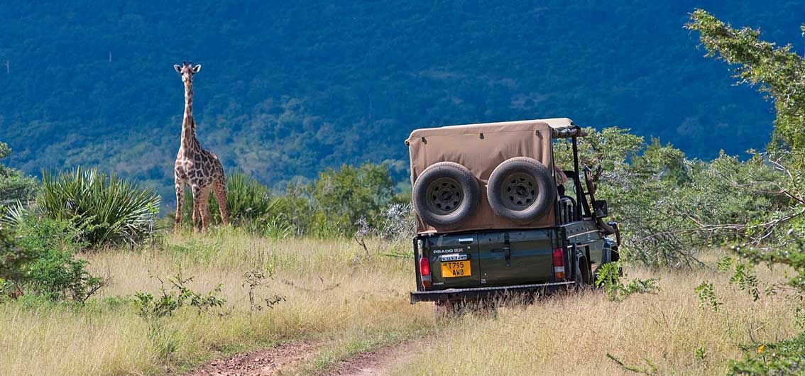 Versteckte Juwele (2025)