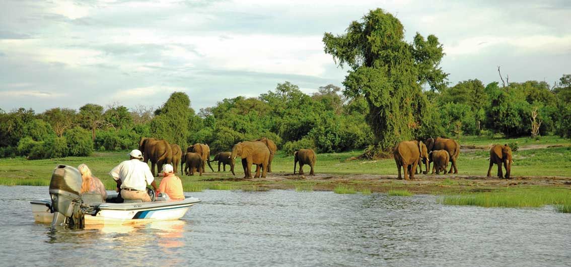 Afrika - Chobe