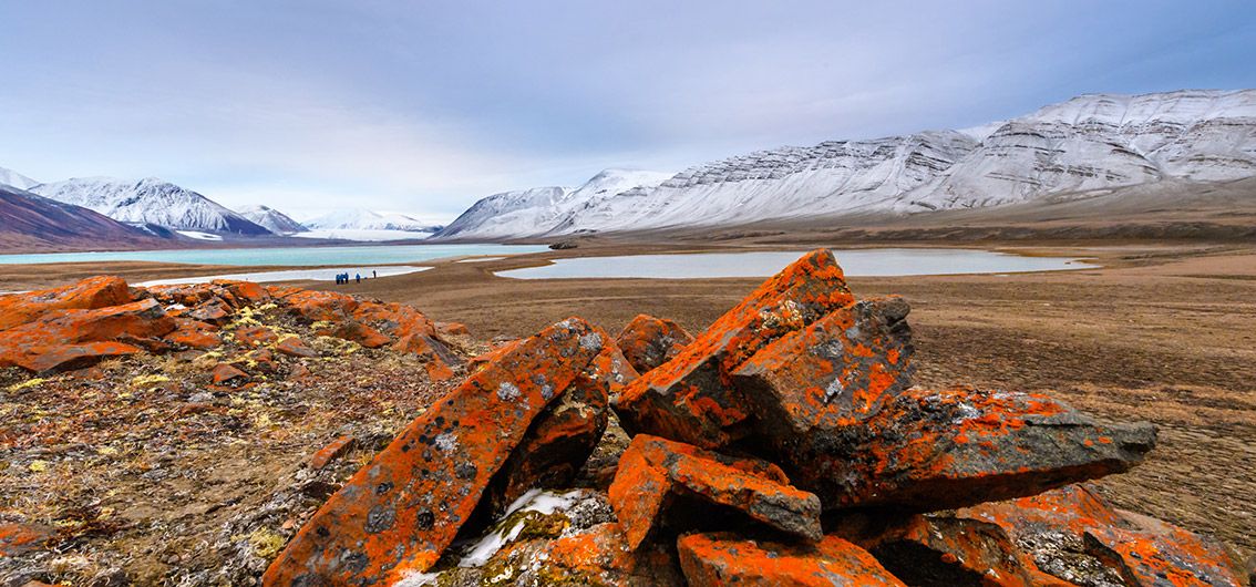 Bylot_Island_Sirmilik_National-Park_W-O