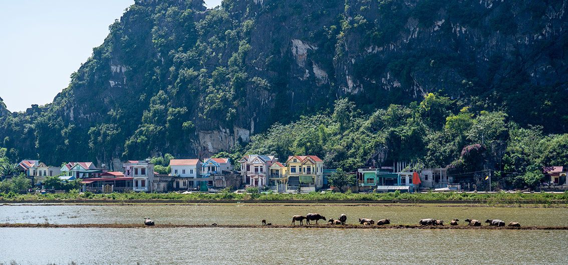 Vietnam - Ninh-Binh-