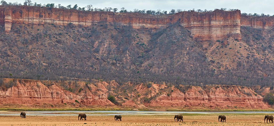 Elefanten vor den Klippen von Gonarezhou