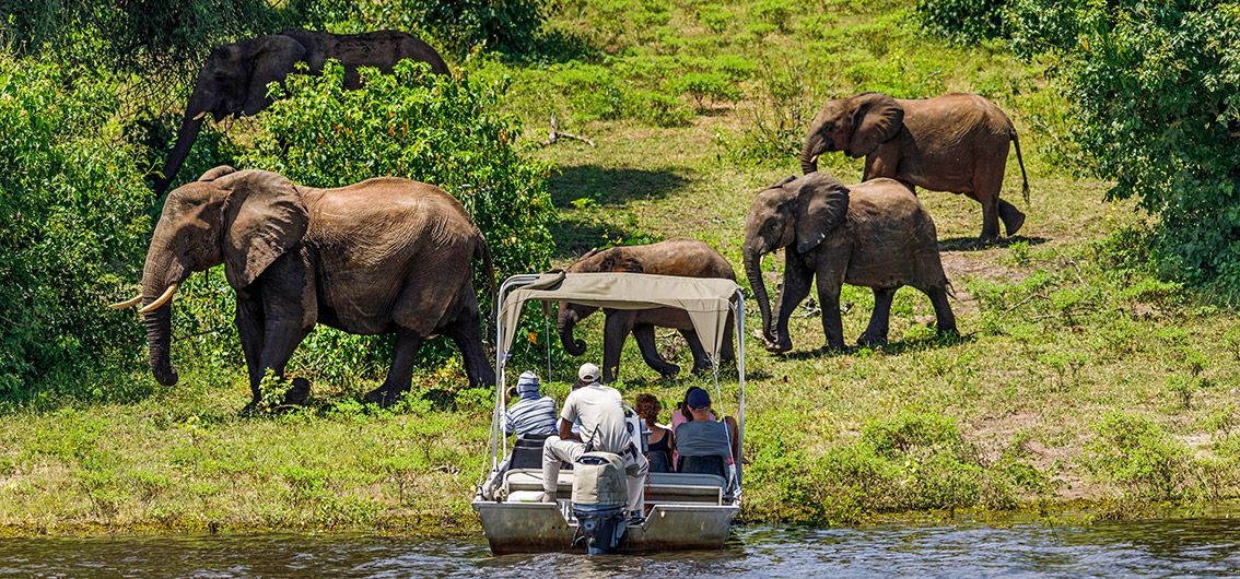 Im-Chobe-Nationalpark