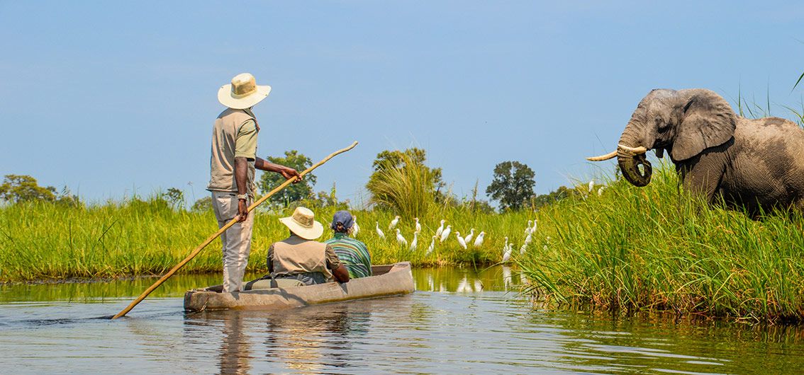 Safari pur: Chobe-Park und Okavango-Delta (2025/2026)