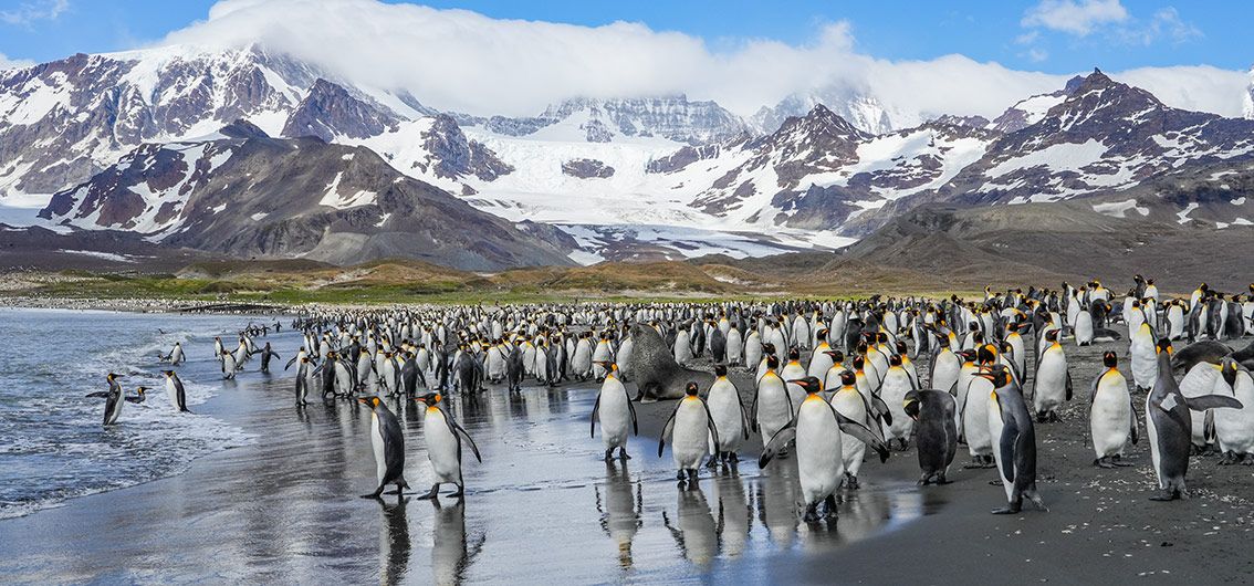 Expeditions-Kreuzfahrt zum südlichen Ende der Welt (2027/2028)