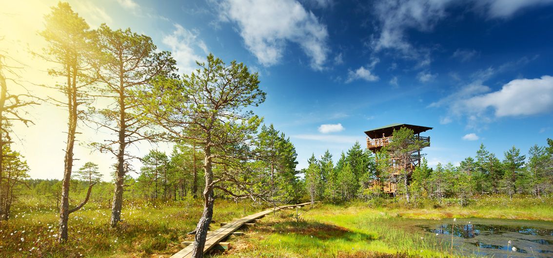 Lahemaa- Nationalpark - Estland