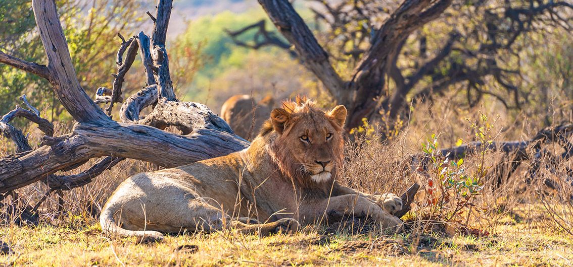 Individueller Reise-Baustein ab 1 Person (2025/2026)