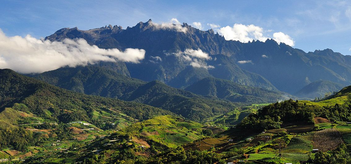 Bei den Orang-Utans und Malaienbären im Regenwald (2025)