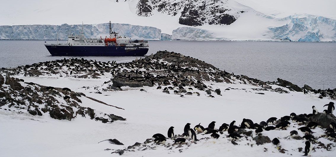 MS-Ortelius-im-Weddellmeer