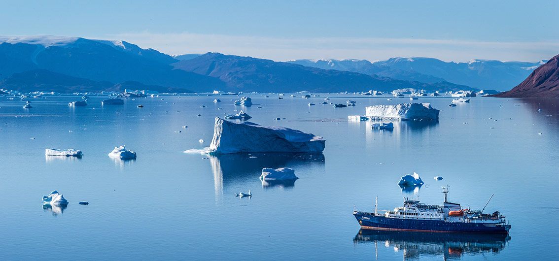 Der Scoresbysund, Eisberge und Wale (2026)