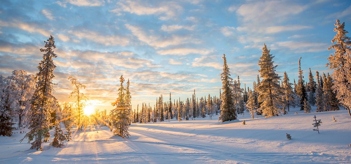 Winterlandschaft in Lappland